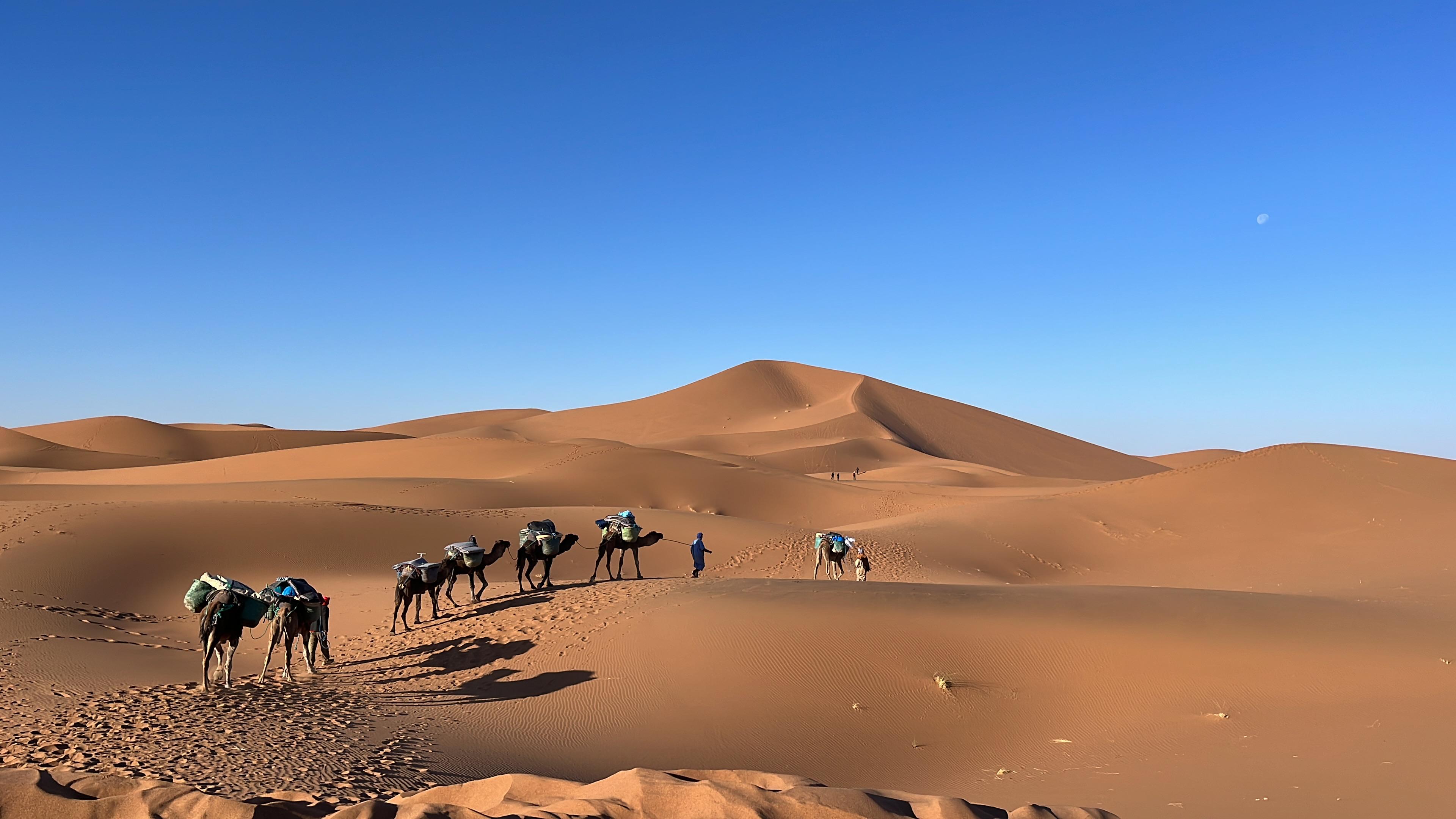 Zwischen Marrakesch und Sahara